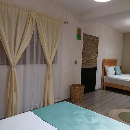 Alojamiento El Nixtamal Oaxaca Exterior foto